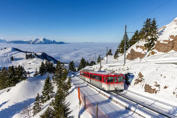 Rigi Dağı 'nın tepesine yaklaşan kırmızı tren.