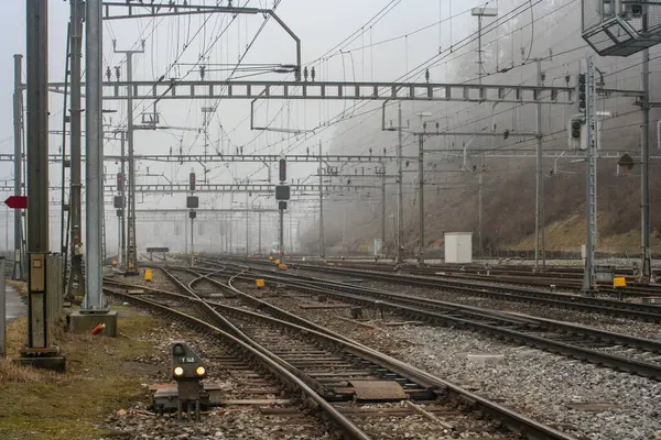 Goldau Schwyz İsviçre 'deki Arth-Goldau Boş Tren İstasyonu