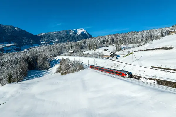 Yerel bir havayolu şirketi olan Suedostbahn tarafından işletilen bölgesel tren, Goldau 'dan merkez İsviçre' de ayrıldıktan kısa bir süre sonra fotoğraflandı. Arka planda Rigi Dağı görülebilir.. 