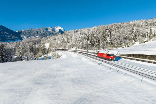 Tticino 'ya giden kar kaplı bir İsviçre şehirlerarası treni Goldau yakınlarında karla kaplı bir arazide fotoğraflandı. Ticino 'ya varmadan önce Gotthard Üssü Tüneli' ne girecek.. 