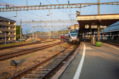 Arth-Goldau tren istasyonunda birden fazla tren bekliyor..