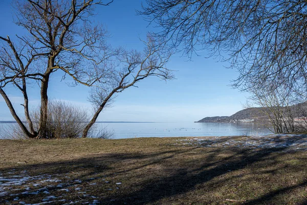 Beautiful Misty Blue Lake View Morning — Stock Photo, Image