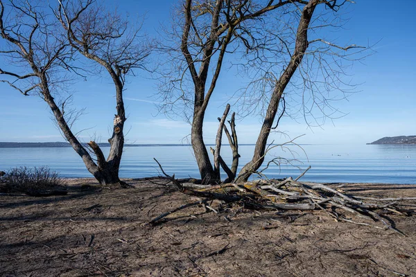 Гарний Туманний Вид Блакитне Озеро Вранці — стокове фото