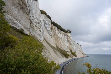 Baltık Denizi üzerinde yükselen güzel tebeşir kayalıkları. Fotoğraf: Danimarka 'daki Mons Klint