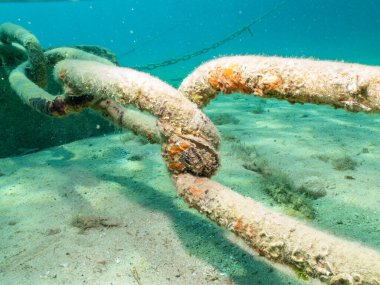 Hırvatistan 'ın Losinj kenti yakınlarındaki Adriyatik Denizi' nin dibinde demirleme zinciri. Arka planda kum ve turkuaz su