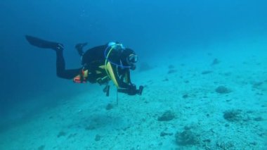 Filipinler, Puerto Galera 'da bir batık batakhanesinde iyi kesilmiş bir dalgıç. Arka planda bir yarasa balığı sürüsü var. Kameraya doğru video ışığı