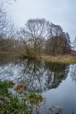 Bir ağaç nehirde güzel bir yansıma verir. Arkasında bulutlar olan karanlık bir gökyüzü. Güney İskandinav kışları