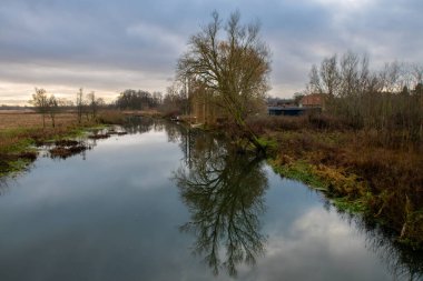 Bir ağaç nehirde güzel bir yansıma verir. Arkasında bulutlar olan karanlık bir gökyüzü. Güney İskandinav kışları