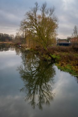 Bir ağaç nehirde güzel bir yansıma verir. Arkasında bulutlar olan karanlık bir gökyüzü. Güney İskandinav kışları