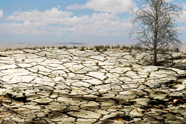 Dry Cracked Soil Climate Change Global Warming Environmental Issues Concept — Stock Photo, Image
