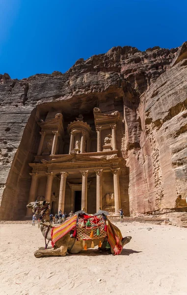 Utsikt Över Kamel Framför Finansbyggnaden Den Antika Staden Petra Jordanien — Stockfoto