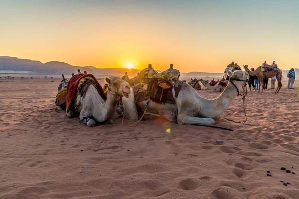 Yaz Mevsiminde Ürdün Wadi Rum Kentindeki Çöl Manzarasında Güneş Doğarken — Stok fotoğraf