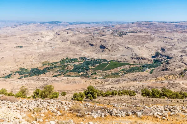 Kilátás Lejtőin Mount Nebo Jordánia Felé Oázis Alatt Nyáron — Stock Fotó