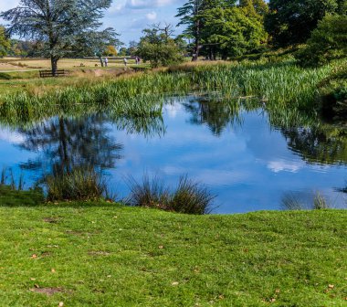 Bradgate Park, Leicestershire, İngiltere 'deki Lin Nehri' ndeki yansımaların sonbaharda