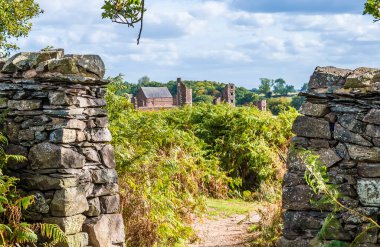 Bradgate Park, Leicestershire, İngiltere 'de sonbaharda bir patika boyunca bir manzara.