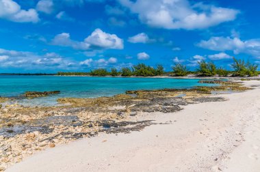 A view across the rocky shoreline of a deserted bay on the island of Eleuthera, Bahamas on a bright sunny day