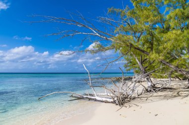 A view of a tropical paradise on a deserted bay on the island of Eleuthera, Bahamas on a bright sunny day