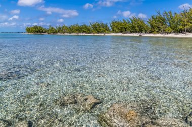 Güneşli bir günde, Eleuthera, Bahamalar adasındaki ıssız bir körfeze doğru kristal berrak sulardan bir manzara.