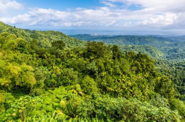 A view down from the mountain peak in the tropical rainforest in Puerto Rico on a bright sunny day