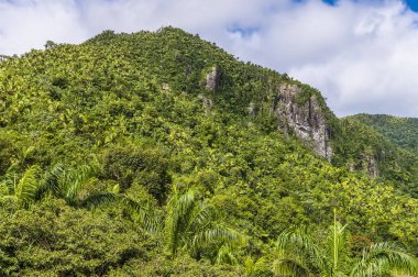 A view of a mountain peak in the tropical rainforest in Puerto Rico on a bright sunny day