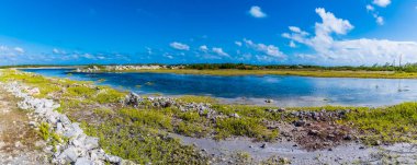 A panorama view of a nesting habitat for birds on the island of Grand Turk on a bright sunny morning