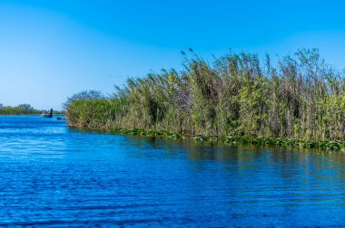 A view up a channel in the Everglades, Florida on bright sunny day