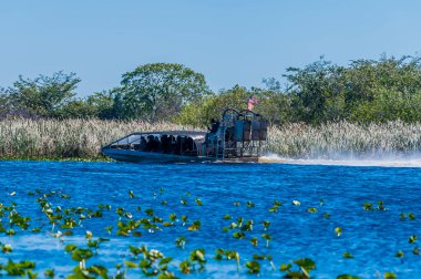 A view of an airboat in a channel in the Everglades, Florida on bright sunny day