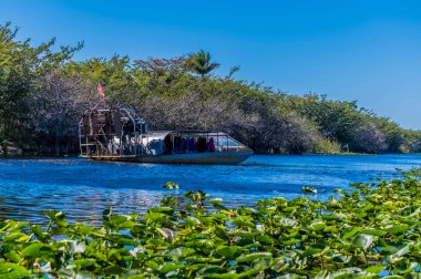 Güneşli bir günde Everglades, Florida 'da yol alan bir bataklık teknesinin görüntüsü.