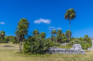 A view of building ruins amongst palm trees at the Mayan settlement of Tulum, Mexico on a sunny day