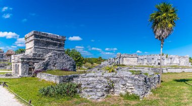 Güneşli bir günde Meksika 'nın Tulum kentindeki saraylar ve tapınaklar arasında bir manzara.