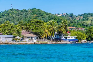 Güneşli bir günde Roatan Adası 'nda kıyı şeridi manzarası