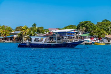 Güneşli bir günde Roatan Adası 'ndaki West Bay' de demirlemiş teknelerin görüntüsü.