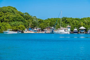 Güneşli bir günde Roatan Adası 'ndaki Batı Körfezi' nin yanındaki bir koyda demirlemiş teknelerin görüntüsü.