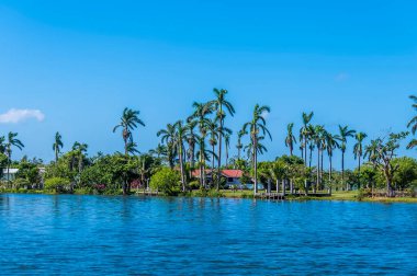 Güneşli bir günde Belize 'deki Belize Nehri' nin kıyısındaki palmiye ağaçları ve binaların manzarası.