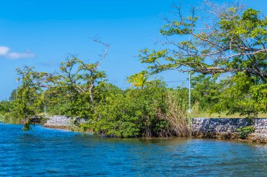 Güneşli bir günde Belize 'deki Belize nehrinin kıyısındaki otobana doğru bir manzara.