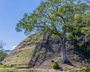 Güneşli bir günde Belize 'deki antik Maya şehrinin kalıntılarında bir mezarlık manzarası.