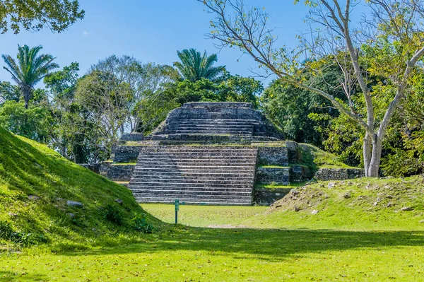 Widok Schodkową Świątynię Starożytnych Ruinach Miasta Majów Belize Słoneczny Dzień — Zdjęcie stockowe