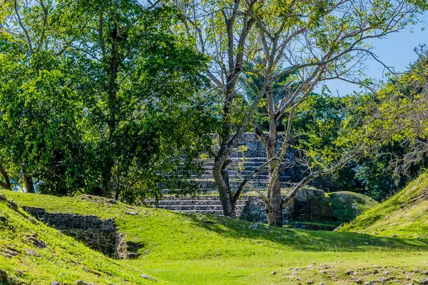 Uma Vista Para Templo Antiga Cidade Maia Ruínas Belize Dia — Fotografia de Stock
