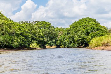 Kurak mevsimde Kosta Rika 'daki Tortuguero Nehri' nin yukarısında bir manzara