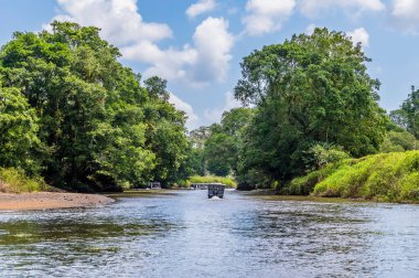 Kurak mevsimde Kosta Rika 'daki Tortuguero Nehri' nin aşağısında bir manzara