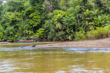 Kurak mevsimde Kosta Rika 'daki Tortuguero Nehri' ndeki tekne trafiği