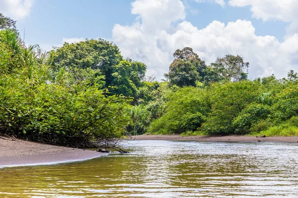 Widok Dżungli Graniczy Tortuguero Rzeka Kostaryce Porze Suchej — Zdjęcie stockowe