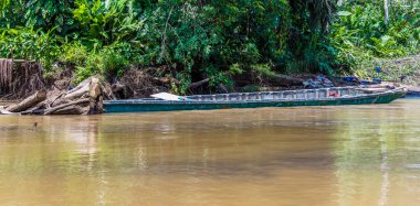 Kurak mevsimde Kosta Rika 'daki Tortuguero Nehri' nin işlek bir bölgesinde enkaz bir gemi manzarası