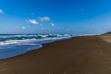 Kurak mevsimde Kosta Rika 'daki Tortuguero sahilinde bir manzara