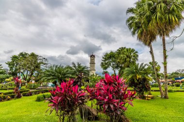 Kurak mevsimde La Fortuna, Kosta Rika 'daki Central Park' taki Ti Plants manzarası