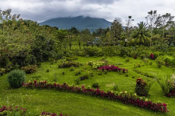 stock image A view over borders of Ti Plants towards the volcano on the outskirts of La Fortuna, Costa Rica in the dry season