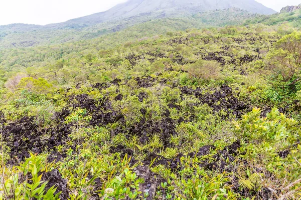 Вигляд Лавових Полів Схилах Вулкана Аренал Озера Аренал Коста Риці — стокове фото