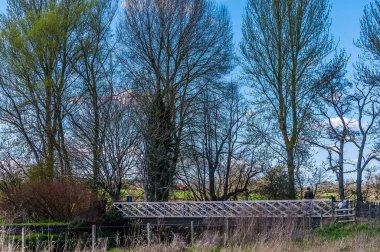 Yaz başında Alcester yakınlarındaki Arrow Nehri 'nin üzerindeki bir köprü manzarası.