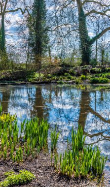 Yazın başında Alcester yakınlarındaki Arrow nehri tarafından beslenen bir göl manzarası.