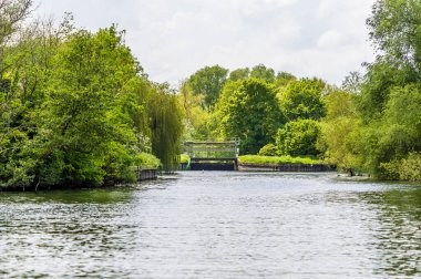 Yaz mevsiminde St. Ives, Cambridgeshire yakınlarındaki Büyük Okyanus nehrinin kapısına bakan bir manzara.